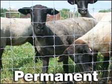 Permanent Sheep Fence