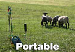 Portable Sheep Fence
