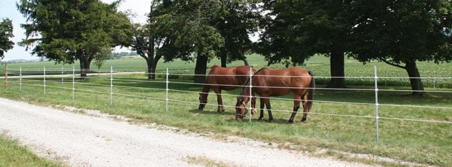 electric horse fence