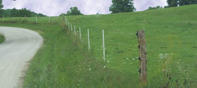 PasturePro posts used in combination with wood posts