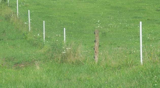 PasturePro post with ice-covered woven wire