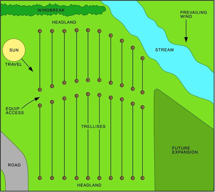 Description: Figure-2B